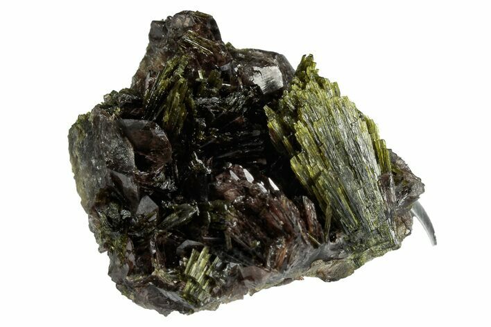 Sharp Axinite Crystal Cluster with Green Epidote - Peru #347929